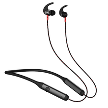 Load image into Gallery viewer, boAt Rockerz 333