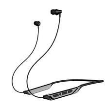 Load image into Gallery viewer, boAt Rockerz 375