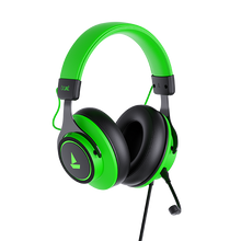 Load image into Gallery viewer, boAt Immortal 1000D
